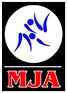 Strategic Partners MJA IIS Strategic Partners MJA IIS
